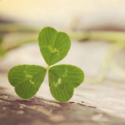 大众彩票入口welcome手机app下载