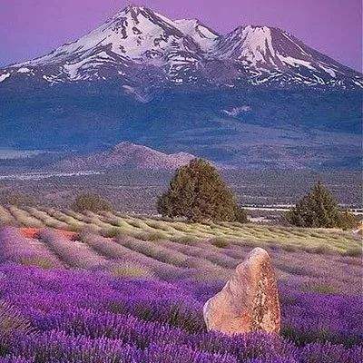 best365官网登录入口